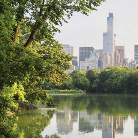 Ondertussen in New York [Alleen-lezen]